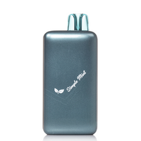 Pillow Talk Nic Control NC40000 Disposable Vape