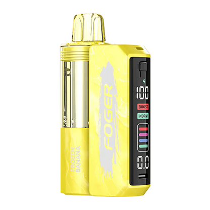 Foger Switch Pro 30000 Puff Disposable Vape Kit