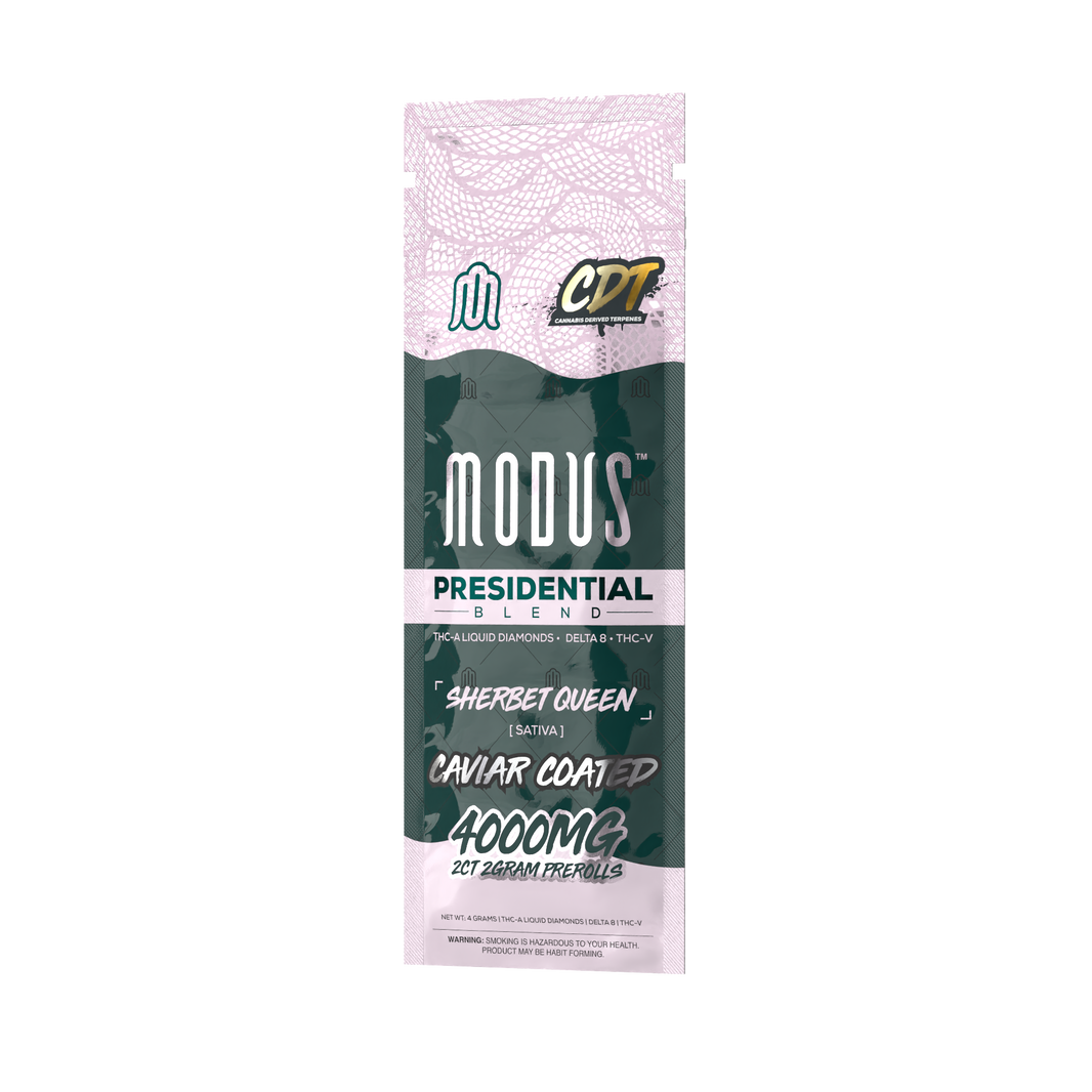 Modus Presidential Preroll 2G (2ct)