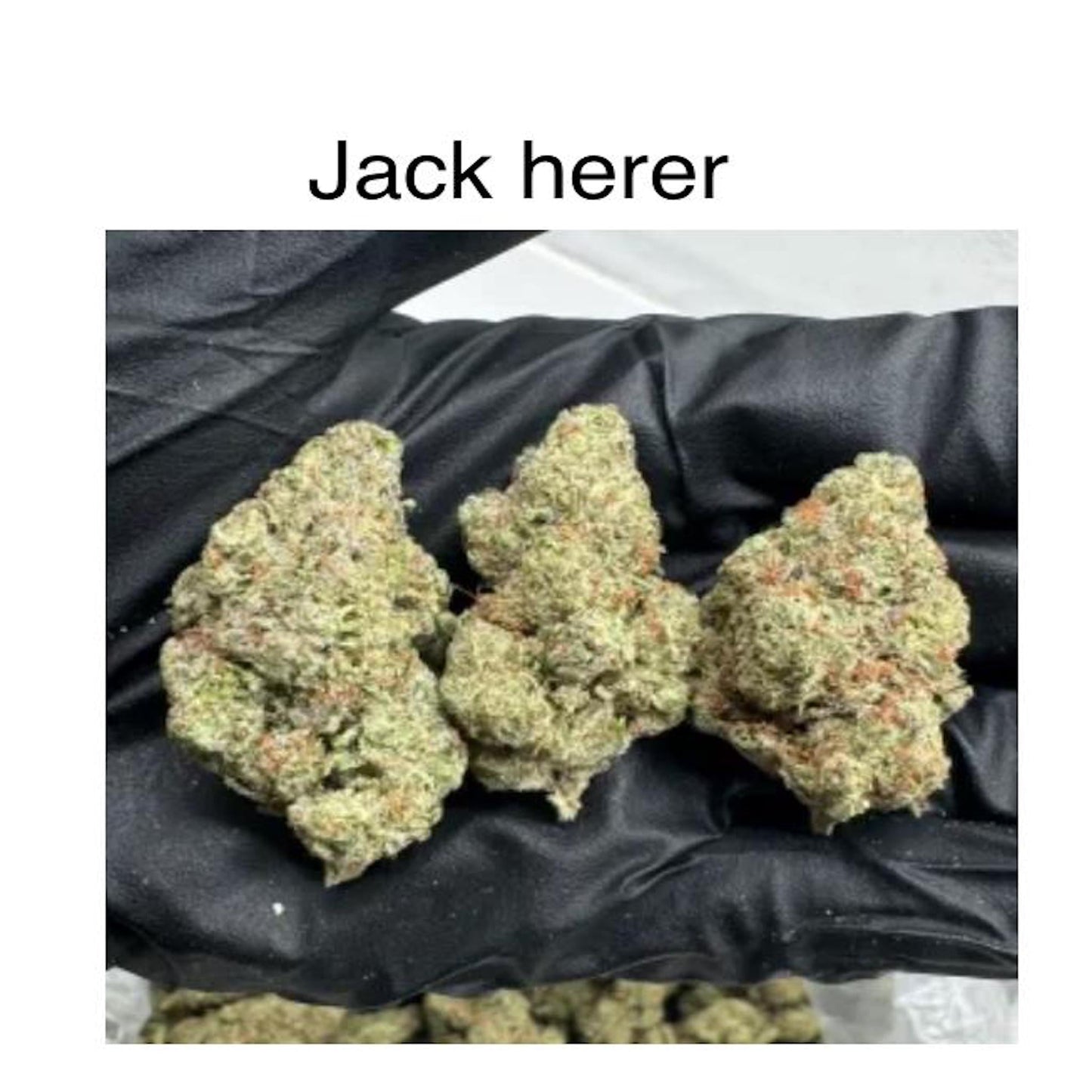 Freshgrown TX Super Zaza Jack Herer THC-A Flower - 3.5g