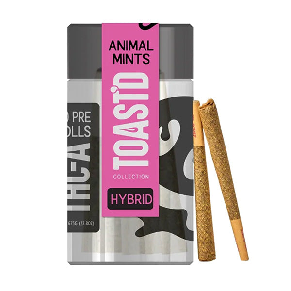 Half Bak’d Toast’d THCa Pre-Roll 3.5G (7ct) | Prerolls | HQD Tech USA