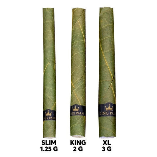 King Palm Hand Rolled Leaf