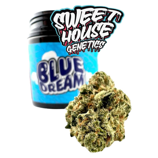 Sweet House Genetics Premium Blue Dream THC-A Flower - 3.5g - hqdtechusa