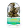 URB THC Infinity Caviar Flower 7G