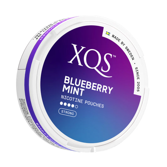 XQS Blueberry Nic Pouch - 6mg