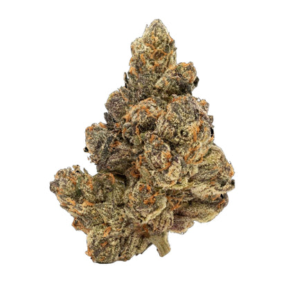 Zotica Plasma Gas THC-A Flower - 3.5g - hqdtechusa